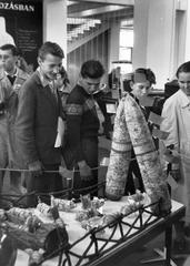 1966, Éltető, Fortepan #236233
