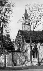 1963, Éltető, Fortepan #236248