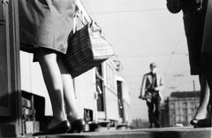 1966, Éltető, Fortepan #236333