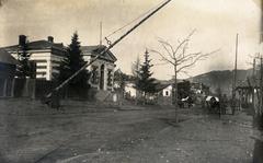 1916, Csicsery-Rónay István, barrier, Fortepan #236911