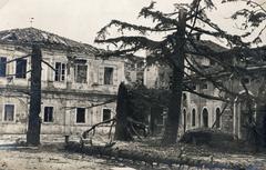 1917, Csicsery-Rónay István, Fortepan #236957