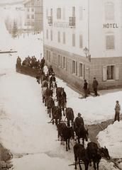 1914, Csicsery-Rónay István, hóeke, Fortepan #237025