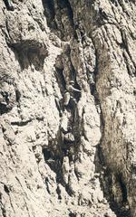 1914, Csicsery-Rónay István, Fortepan #237027