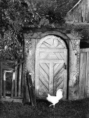 1974, Ódon Antikvárium, Kútvölgyi Mihály, Best of, Fortepan #237595