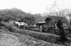 1974, Ódon Antikvárium, Kútvölgyi Mihály, Fortepan #237597