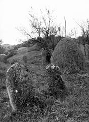 1974, Ódon Antikvárium, Kútvölgyi Mihály, Fortepan #237603