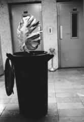 1982, Bordács Ferenc, Fortepan #237618