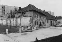 1979, Bordács Ferenc, Fortepan #237630