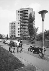 1976, Bordács Ferenc, Fortepan #237638