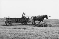 1973, Bordács Ferenc, Fortepan #237652