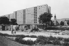 1978, Bordács Ferenc, Fortepan #237667