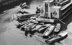 1977, Bordács Ferenc, Fortepan #237709