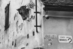 1975, Bordács Ferenc, Fortepan #237769