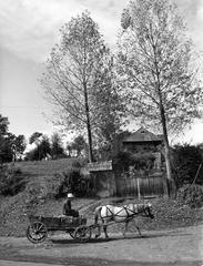 1974, Ódon Antikvárium, Kútvölgyi Mihály, Best of, Fortepan #237804