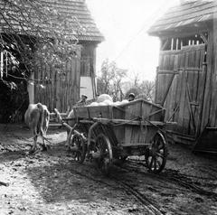 1974, Ódon Antikvárium, Kútvölgyi Mihály, Fortepan #237806