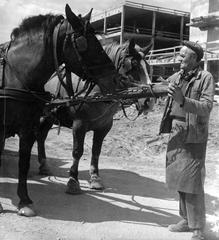 1983, Középületépítő Vállalat - Kreszán Albert - Koczka András - Kemecsei József, Fortepan #238111