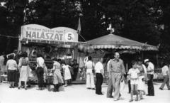 1981, Középületépítő Vállalat - Kreszán Albert - Koczka András - Kemecsei József, Fortepan #238119