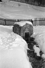 Magyarország, Bükkszentlélek, Szentléleki forrás a Pálos kolostorrom közelében., 1957, Pálfi Balázs, forrás, Fortepan #23923