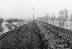 Magyarország, Halásztelek, (ekkor Tököl külterülete), a Duna árvízvédelmi töltése, balra a Korbuly birtok kerítése., 1940, Korbuly, árvíz, gát, Fortepan #2415