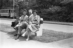 Hungary, Szeged, Népkert sor, a mára már megszűnt újszegedi villamos., 1958, Szánthó Zoltán, tram, bench, Fortepan #24273