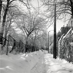 Magyarország, Budapest XI., Pipacs utca., 1935, Lőrincze Judit, tél, hó, utcakép, Budapest, Fortepan #24521