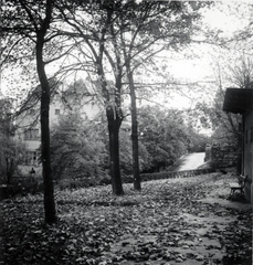 Hungary, Budapest XI., Kemenes utca 14., Rosenfeld villa (Vidor Emil, 1909) a Gellért Gyógyfürdő fölött, a Kelenhegyi út sarkánál., 1936, Lőrincze Judit, autumn, Budapest, Fortepan #24543