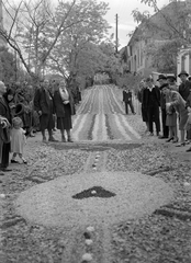 Magyarország, Budaörs, Szabadság út (József főherceg utca) a Templom tér felé nézve. Úrnapi körmenet virágszőnyege., 1940, Vass Károly, Fortepan #24739