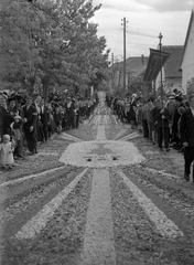 Magyarország, Budaörs, Szabadság út (József főherceg utca) a Templom tér felé nézve. Úrnapi körmenet virágszőnyege., 1940, Vass Károly, Fortepan #24740