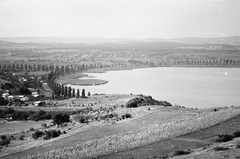 Magyarország,Balaton, Tihany, Diós, Lepke sor, háttérben a Füredi öböl., 1962, Tóth Károly dr, Fortepan #24870