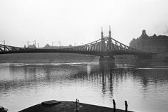 Magyarország, Budapest V.,Budapest XI., látkép a Belgrád rakpartról a Szent Gellért tér felé, előtérben a Szabadság híd., 1966, Tóth Károly dr, Duna, Duna-híd, Feketeházy János-terv, Budapest, Fortepan #24901