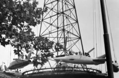 Magyarország, Vidámpark, Budapest XIV., Repülő., 1966, Fortepan/Album061, körhinta, vidámpark, Budapest, Fortepan #250040