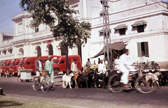 India, Delhi, Lothian Road, a város első postahivatala., 1965, Pozsgay Eszter, színes, kerékpár, posta, postajármű, kecske, Fortepan #250162