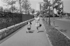 Magyarország, Budapest XVIII., Lakatos úti lakótelep, Dolgozó út, jobbra a Lakatos úti (később Eötvös Loránd) Általános Iskola, háttérben az óvoda., 1968, Rácz Vekerdi Gyuláné, Budapest, Fortepan #250198