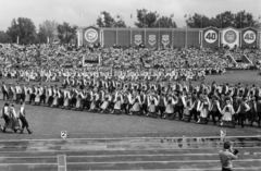 Lithuania;Lietuva, Vilnius, Žalgiris Stadion, Köztársasági dalünnep, táncbemutató., 1985, Sóti Ákos, Fortepan #250234