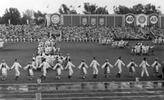 Lithuania;Lietuva, Vilnius, Žalgiris Stadion, Köztársasági dalünnep, táncbemutató., 1985, Sóti Ákos, Fortepan #250236