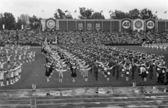 Lithuania;Lietuva, Vilnius, Žalgiris Stadion, Köztársasági dalünnep, táncbemutató., 1985, Sóti Ákos, Fortepan #250237