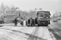 Magyarország, Vác, Szent István tér 4., VOLÁNBUSZ autóbusz-állomás., 1986, Vimola Károly, Ikarus-márka, Trabant 601, rendszám, autóbusz, Ikarus 266, Fortepan #250405