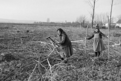 Magyarország, Letkés, háttérben jobbra a községben a Mennybemenetel-templom., 1989, Vimola Károly, Fortepan #250439