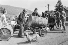 Magyarország, Kismaros, (ekkor Verőcemaros része), Mátyás utca - Liget utca kereszteződés., 1988, Vimola Károly, fémgyűjtés, Fortepan #250480