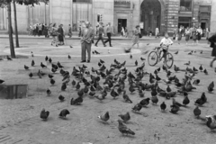 Lengyelország, Varsó, ulica Piekna - ulica Marszałkowska sarok az Alkotmány tér (Plac Konstytucji) felől nézve., 1959, Vimola Károly, kerékpár, Fortepan #250586