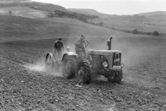 Magyarország, Tatabánya, Felsőgalla, vetőburgonya ültetése géppel a Nagy-Keselő keleti oldalán., 1959, Vimola Károly, traktor, rendszám, Dutra-márka, Dutra UE-28, Fortepan #250595