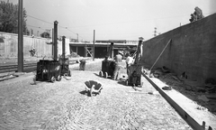 Magyarország, Budapest XIII.,Budapest IV., a Béke utcai közúti aluljáró építkezése a Gyöngyösi utca felőli oldalon., 1956, FŐMTERV, Domonkos Endre, villamos, aluljáró, Budapest, Fortepan #251049