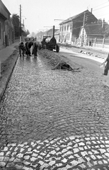 Magyarország, Budapest XI., Budapest XI., a Fehérvári út (Szabadság) út Kondorosi út - Építész utca / Albertfalva utca közötti szakasza, a közös villamos és HÉV pályával., 1956, FŐMTERV, Domonkos Endre, kockakő, Budapest, Fortepan #251052