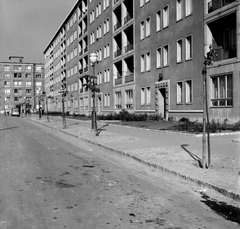 Magyarország, Budapest XI., Bölcső utca, a Hamzsabégi úttól a Baranyai utca felé nézve., 1959, FŐMTERV, Domonkos Endre, Budapest, lakótelep, utcakép, facsemete, Fortepan #251165