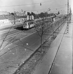 Magyarország, Óbuda, Budapest III., felhajtó az Árpád híd felé, balra a Tavasz utca melletti házsor látszik., 1959, FŐMTERV, Domonkos Endre, Budapest, fasor, villamos, Fortepan #251181