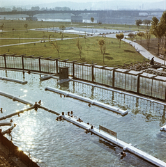 Magyarország, Budapest XIII., Dagály (Szabadság) fürdő. Háttérben az Árpád híd Margit-szigeti lehajtója., 1959, FŐMTERV, Domonkos Endre, Budapest, színes, park, medence, Fortepan #251219