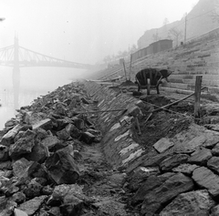 Magyarország, Budapest XI., budai alsó rakpart átépítése a Szent Gellért rakpart alatt, háttérben a Szabadság híd., 1959, FŐMTERV, Domonkos Endre, Budapest, talicska, Fortepan #251240