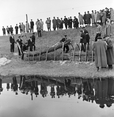 1960, FŐMTERV, gaping, shore, reflection, Fortepan #251263