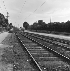 Hungary, Budapest XII., a Németvölgyi út Hegyalja út - Érdi út közöti szakasza, jobbra a Farkasréti temető kerítése., 1960, FŐMTERV, Budapest, rails, Fortepan #251366