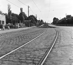 Hungary, Budapest XII., a Németvölgyi út Hegyalja út - Érdi út közöti szakasza, jobbra a Farkasréti temető kerítése., 1960, FŐMTERV, Budapest, rails, Fortepan #251367